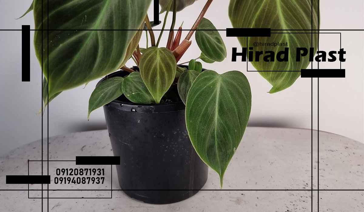 گلدان پلاستیکی کشاورزی