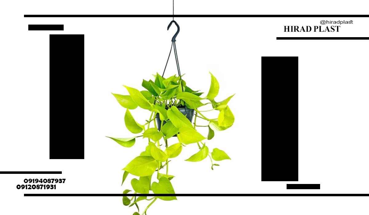 گلدان پلاستیکی