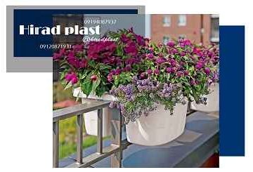 گلدان آپارتمانی