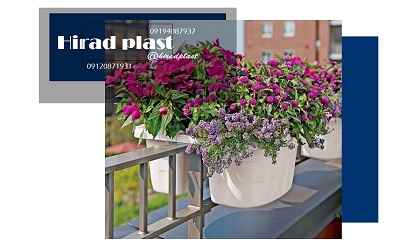 گلدان آپارتمانی