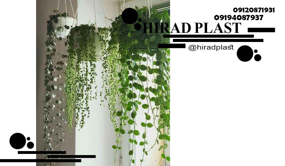 خرید گلدان پلاستیکی