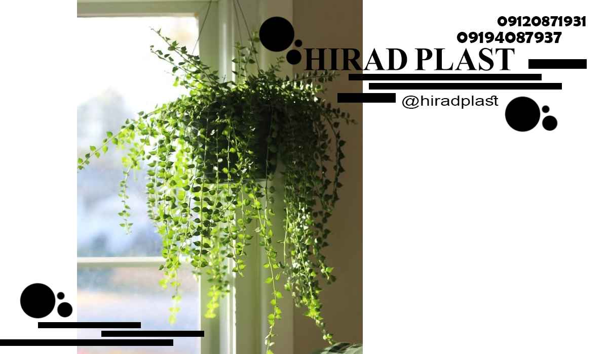 گلدان پلاستیکی