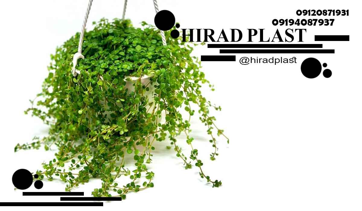 گلدان پلاستیکی آویز