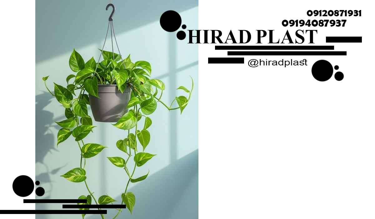 گلدان پلاستیکی آپارتمان