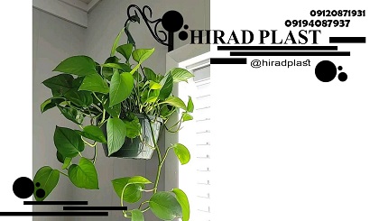 گلدان پلاستیکی اویز