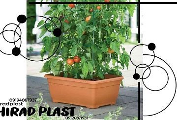 گلدان پلاستیکی