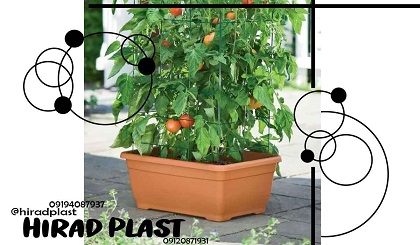 گلدان پلاستیکی